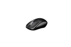 Rapoo 1620 2.4GHz Wireless Mouse, 10mtr Range, 1000 DPI, Black