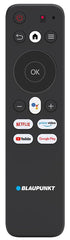 Blaupunkt 101 cm (40 inches) Cyber Sound G2 Series Full HD LED Google TV 40CSG7112 (Black)