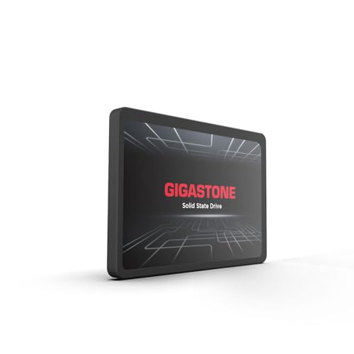 Gigastone SATA SSD 960GB 2.5 inch SSD 500MB/s Upgrade Laptop PC Memory and Storage PS4 HDD Replacement 2.5" Internal Solid State Hard Drives SATA III SLC Cache 3D NAND Increase Performance