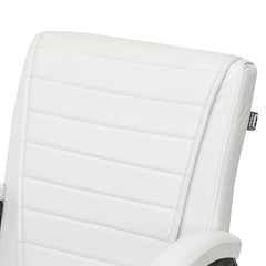 RATISON Special Director Principal Manager Office Visitor with arm Rest with Double Pipe Frame and Cushioned seat Back (2, Black, Double Pipe Frame)