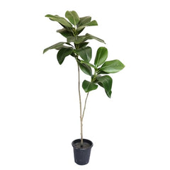 AAVANA GREENS Plastic 40 Inch Artificial Flower Plant for Indoor and Outdoor, Home, Shop, Office, Restaurant Decoration Dark Green (Pack of 1) (1, Plant 8 - with Pot)