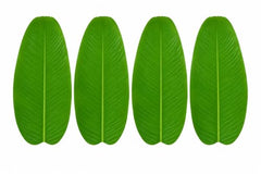 VRB Dec 20 Pcs Artificial Banana Leaf Decorative Leaves for Ganpati.Diwali,Navratri,Pooja,Wedding,Backdrop,Table Placemat,Reusable Banana Leaf Decor, Pack of 20 Pcs