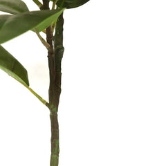 AAVANA GREENS Plastic 40 Inch Artificial Flower Plant for Indoor and Outdoor, Home, Shop, Office, Restaurant Decoration Dark Green (Pack of 1) (1, Plant 8 - with Pot)