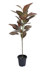 AAVANA GREENS Plastic 40 Inch Artificial Flower Plant for Indoor and Outdoor, Home, Shop, Office, Restaurant Decoration Dark Green (Pack of 1) (1, Plant 8 - with Pot)