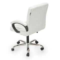 GOYALSON Ergonomic Revolving Office Home Swivel Desk Chair with Adjustable Height Smooth Moving (2, Black, Standard)