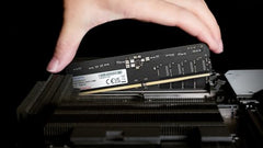 ADATA Premier 16GB DDR5 5600MHz Desktop RAM, Dual-Channel Module, Supports Intel & AMD Latest CPU, Intel XMP & AMD Expo, Built in PMIC, On Die ECC, Low Voltage, More Bandwidth - AD5U560016G-S
