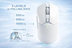 Offbeat Ivy Blutooth 5.2 + 2.4Ghz Wireless Gaming Mouse | Triple Device connectivity | 5000 DPI 1000 hz pollinng Rate 6D Button | 600 mAh Battery 100 Hours Playtime | Silent Click (Black)