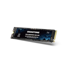 Gigastone 【NAS Certified】 High Endurance M.2 SSD 2TB (2-Pack) for Data Cache and Fast Boot, NVMe PCIe Gen3 Up to 2600MB/s, TLC Flash with SLC Caching, 24/7 Reliable for Gaming/PC/NAS, 5-Year Warranty