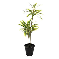 AAVANA GREENS Plastic 40 Inch Artificial Flower Plant for Indoor and Outdoor, Home, Shop, Office, Restaurant Decoration Dark Green (Pack of 1) (1, Plant 8 - with Pot)