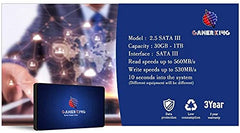 GAMERKING 256GB M.2 2260 SSD, SATA III 6Gb/s, High Performance Internal Solid State Drive for Desktop & Laptop