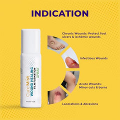 CureMist AYURVEDIC First Aid Wound Spray || Antiseptic, AntiFungal || Patented || Instant Relief to Cuts, Burns, Abrasions & Dry surgical Wounds II Reduced Scarring II Great for Sports Injuries || 100% Ayurvedic Ingredients only || Haldi Palandu Lavanga…