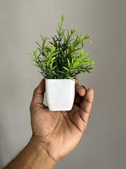 Litleo Plastic Artificial Plants Mini, Eucalyptus Potted Faux Decorative Grass Plant For Home Decor, Indoor, Office, Desk, Shelf, Table Decoration (Pack Of 4), Green