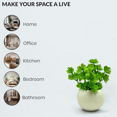 SKYGREEN Luxury Artificial Green Bonsai Tree with Stylish Decorative Pot for Modern Home, Office Desk & Shelf Decor | (BN-104)