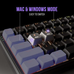 Kreo Hive 65 Wired Mechanical Gaming Keyboard | 65% Layout | Gasket Mount | Metal Volume Knob | Pre-Lubed Linear Switches | RGB Backlit | Type-C | Mac & Windows Mode