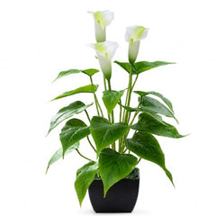 GARDEN GYANI Artificial Areca Palm Plant with Black Pot – 145 cm Tall Faux Tropical Decorative Plant with 35 Leaves for Home, Office & Living Room Décor