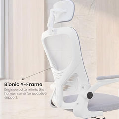 Casa Haus Italia Premium Leatherette Office Chair for Work | Boss Chair, Ergonomic Executive, Luxurious Cushioned Arms & Seat, 2 Point Back Massager, Heavy Duty Metal Base (Burgundy)
