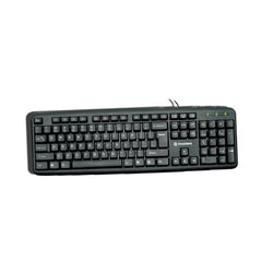 Consistent Classic Silver Wired Keyboard (SK101) for Windows, USB Plug-and-Play, Full-Size, Spill-Resistant, Curved Space Bar(Black)