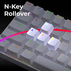 Zebronics Max Ninja 61W Mechanical Keyboard, 60% Compact Layout, Tri-Mode Rechargeable, N-Key Rollover, Linear Red Switches, 1000Hz Polling Rate, 61 Keys, Software Support, Win & Mac Support