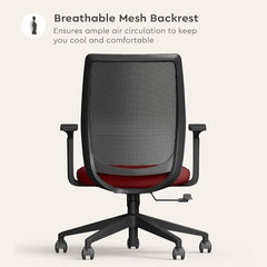 Interio by Godrej Curv Premium Mesh Wide Back Ergonomic Chair | Work from Home/Study Chair | 1-Year Warranty | Height Adjustable Chair | Heavy Duty PP Base | DIY Installation, Black