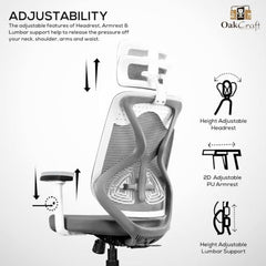 Oakcraft Hurricane Premium Ergonomic Office Chair | Dynamic 2D Lumbar Support | High-Back Executive Chair for Office, Home & Workstation