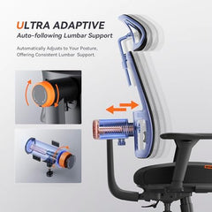 DROGO Bold Posture Ergonomic Office Chair for Work from Home with Adaptive Lumbar Support, Laptop Tray, 4D Armrest, Recline, Adjustable Height & Headrest, High Back Computer Chair With Footrest (Grey)
