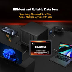 Gigastone 【NAS Certified】 Home Server SSD 1TB (2-Pack) Up to 550MB/s TLC Flash with SLC Caching 24/7 Reliable for Gaming/PC/NAS SSD 3-Year Warranty 2.5" SATA Internal Solid State Drives RAID Disk