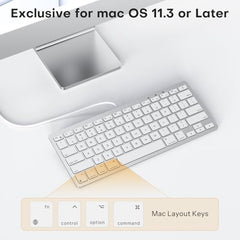 Emetok Wired Keyboard for Mac Users, 1 Cable 2 Plugs USB-C & USB-A, Silver
