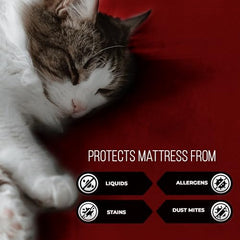 MollisHomes Mattress Protector Single Size, 72x36 Inches, Grey