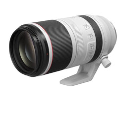 Canon RF 100-500mm F4.5-7.1 L is USM Lens