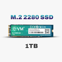 EVM 1TB M.2 SATA SSD 2280 | Internal SSD | Up to 550MB/s Read 370MB/s Write | Laptop Desktop Upgrade Storage | 5 Year Warranty (EVMM2/1TB)
