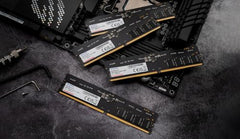 ADATA Premier 16GB DDR5 5600MHz Desktop RAM, Dual-Channel Module, Supports Intel & AMD Latest CPU, Intel XMP & AMD Expo, Built in PMIC, On Die ECC, Low Voltage, More Bandwidth - AD5U560016G-S