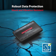 Gigastone SATA SSD 960GB 2.5 inch SSD 500MB/s Upgrade Laptop PC Memory and Storage PS4 HDD Replacement 2.5" Internal Solid State Hard Drives SATA III SLC Cache 3D NAND Increase Performance