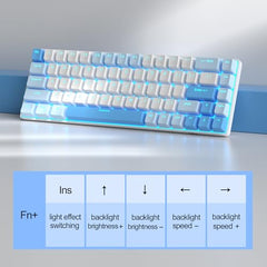 MageGee Portable 60% Mechanical Gaming Keyboard, MK-Box LED Backlit Compact 68 Keys Mini Wired Office Keyboard with Blue Switch for Windows Laptop PC Mac - Blue/White