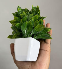 Litleo Plastic Artificial Plants Mini, Eucalyptus Potted Faux Decorative Grass Plant For Home Decor, Indoor, Office, Desk, Shelf, Table Decoration (Pack Of 4), Green