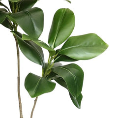 AAVANA GREENS Plastic 40 Inch Artificial Flower Plant for Indoor and Outdoor, Home, Shop, Office, Restaurant Decoration Dark Green (Pack of 1) (1, Plant 8 - with Pot)