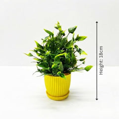 amazon basics Artificial Potted Plants, Artificial Plastic Eucalyptus Plants Small Indoor Potted Houseplants, Small Faux Plants for Home Decor Bathroom Office Farmhouse (Set of 8)