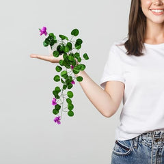fancymart Artificial Flower Plant Home Décor with Small Size Pot | Pack of 2 | Plant Hanging for Home Decor | Office Decor (DESIGN-01)