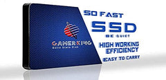 GAMERKING 256GB M.2 2260 SSD, SATA III 6Gb/s, High Performance Internal Solid State Drive for Desktop & Laptop