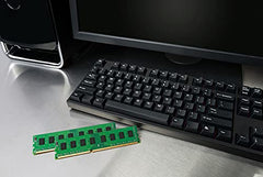 Kingston Technology 8GB 1600MHz DDR3L Non-ECC CL11 DIMM 1.35V Desktop Memory KVR16LN11/8,Green