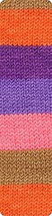 Ganga Spectrum Hand Knitting Wool Yarn (Multicolor_814202) (200gms)
