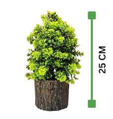 Dekorly Small Artificial Bonsai Tree Fake Plant Potted House Plants Japanese Pine Bonsai Plant Faux Bonsai for Home Indoor Decoration Office (Wooden Potted Plants, Design-G)