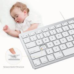 Emetok Wired Keyboard for Mac Users, 1 Cable 2 Plugs USB-C & USB-A, Silver