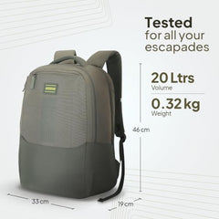 American Tourister Nexa Style 01 | 36L Backpack | Casual Bag | 3 Compartments | School & College Backpack for Men and Women | Olive | 1 Yr Global Warranty