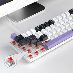 MageGee Portable 60% Mechanical Gaming Keyboard, MK-Box LED Backlit Compact 68 Keys Mini Wired Office Keyboard with Blue Switch for Windows Laptop PC Mac - Blue/White