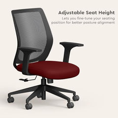 Interio by Godrej Curv Premium Mesh Wide Back Ergonomic Chair | Work from Home/Study Chair | 1-Year Warranty | Height Adjustable Chair | Heavy Duty PP Base | DIY Installation, Black