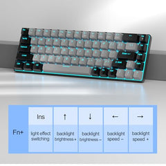 MageGee Portable 60% Mechanical Gaming Keyboard, MK-Box LED Backlit Compact 68 Keys Mini Wired Office Keyboard with Blue Switch for Windows Laptop PC Mac - Blue/White