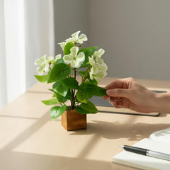 fancymart Artificial Flower Plant Home Décor with Small Size Pot | Pack of 2 | Plant Hanging for Home Decor | Office Decor (DESIGN-01)