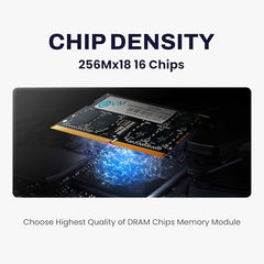 EVM 8GB DDR4 Desktop RAM 3200MHz | Long-DIMM – 1.2V Low Voltage |288-PIN Pin, Intel & AMD Compatible | High-Speed PC Memory Upgrade | 10 Year Warranty (EVMT8G3200U88P)