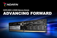 ADATA Premier 16GB DDR5 5600MHz Desktop RAM, Dual-Channel Module, Supports Intel & AMD Latest CPU, Intel XMP & AMD Expo, Built in PMIC, On Die ECC, Low Voltage, More Bandwidth - AD5U560016G-S