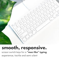 Macally Slim USB Wired Small Compact Mini Computer Keyboard for Apple Mac, iMac, MacBook Pro/Air, Mac Mini, Windows PC Desktops, Laptop (Space Gray)